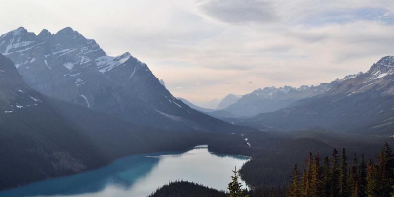 重庆汽车遥控器失灵怎么办？深度解析进水、摔坏、干扰三大元凶与专业解决方案