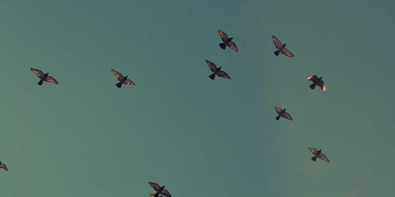 重庆汽车钥匙与防盗系统匹配原理科普：从射频识别到双向加密通信