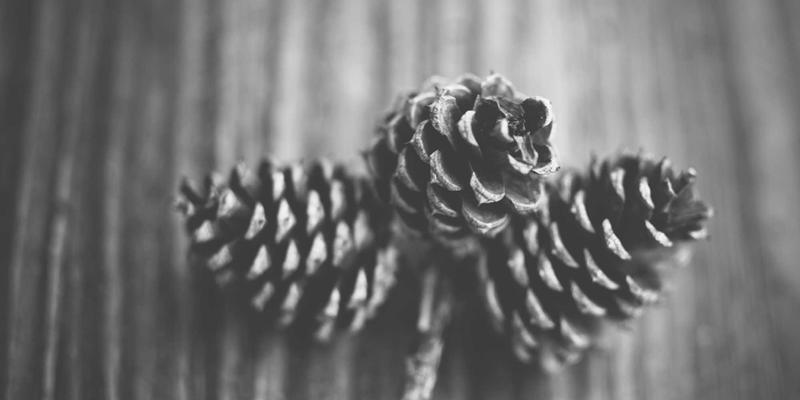 重庆汽车钥匙增配指南：家庭多成员用车如何经济高效增配遥控钥匙