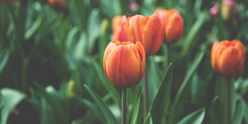 重庆汽车钥匙失灵别急着换新！专业修复按键氧化与主板虚焊，省钱又省心