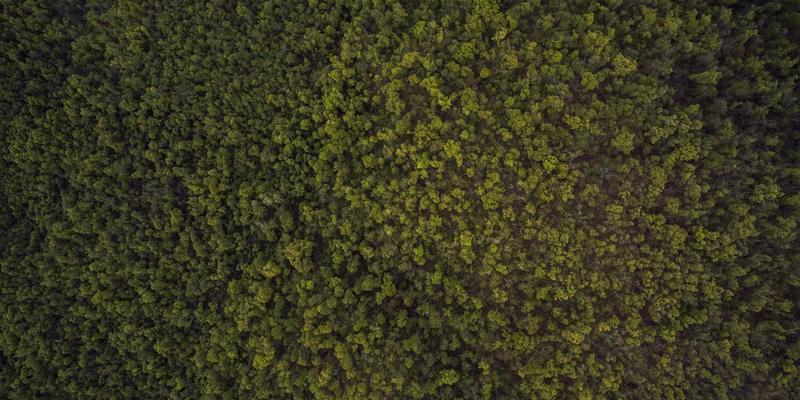 重庆老旧车型钥匙匹配难点解析：经典车与停产车型的钥匙解决方案