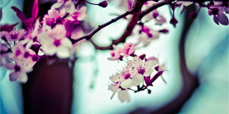 重庆车主必备：汽车遥控器电池更换全攻略，型号选择与DIY步骤详解