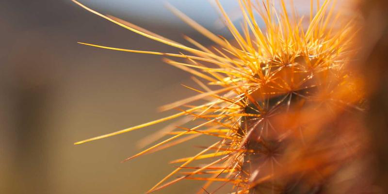 重庆配车钥匙63:专业解析汽车钥匙匹配与遥控器维修全攻略