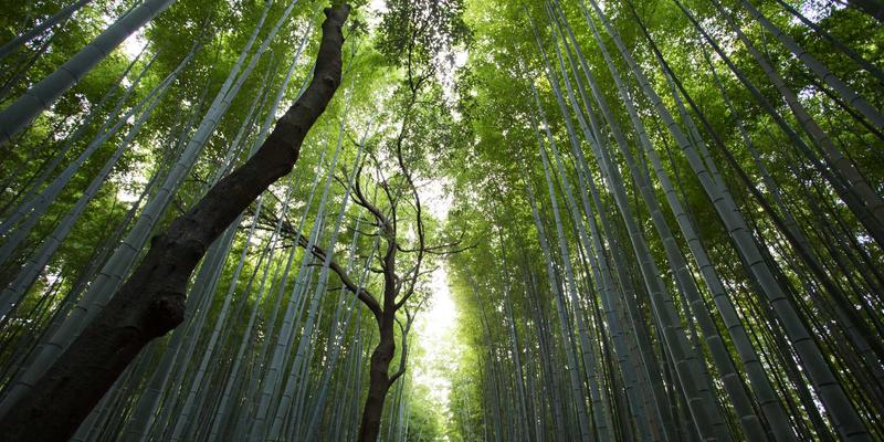 重庆配车钥匙83：24小时汽车开锁与钥匙编程全攻略