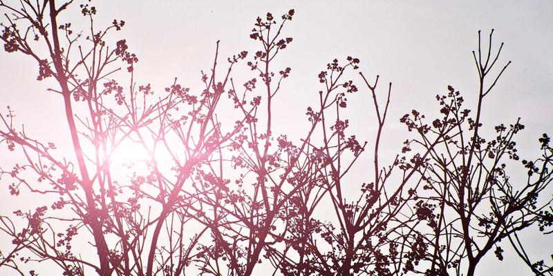 重庆配车钥匙88元起：专业解析汽车钥匙复制、编程与开锁服务全攻略