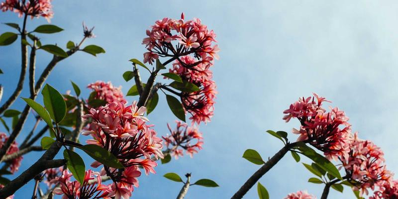 重庆配车钥匙全攻略:汽车开锁、遥控器匹配一站式解决方案