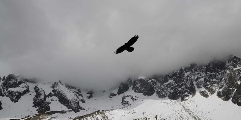 重庆配车钥匙发展：从机械复制到智能匹配的技术演进与市场变革